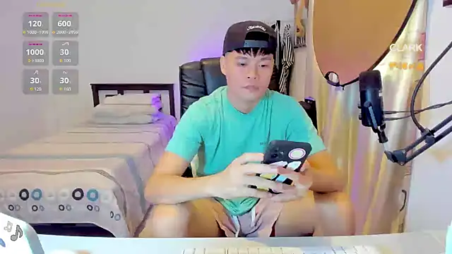 clarkdangerous webcam