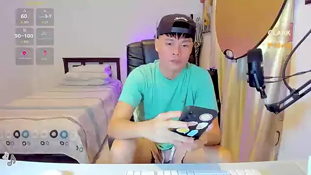 clarkdangerous webcam