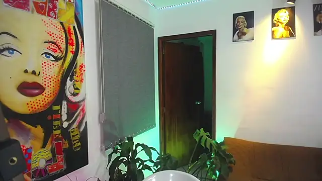 shellsy_hans webcam