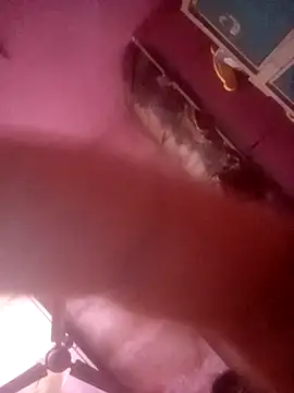 TINASONI webcam