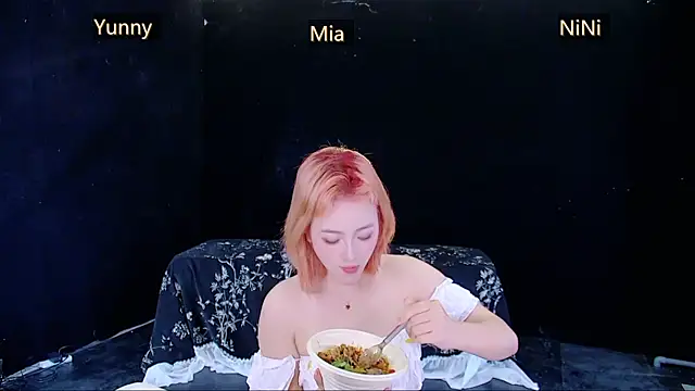 MiNi-U webcam