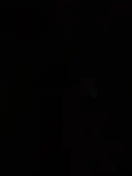 GBlindo3003 webcam