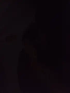 Sexxoophone webcam
