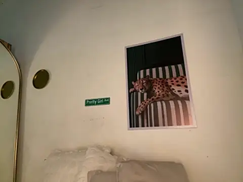 kushg_rl webcam