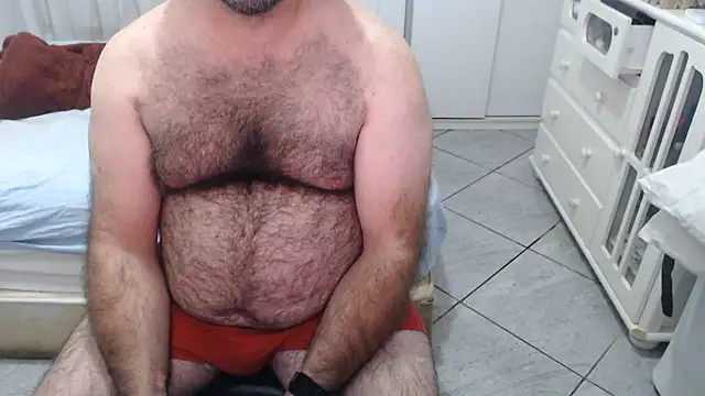 MysterBearMG webcam