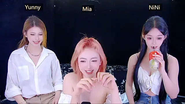 MiNi-U webcam