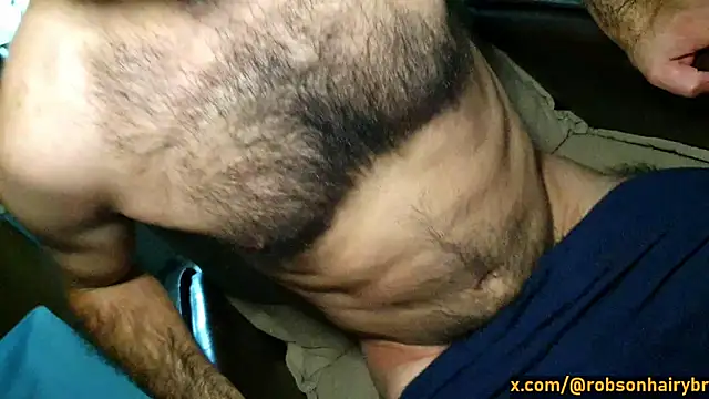 robsonbr webcam
