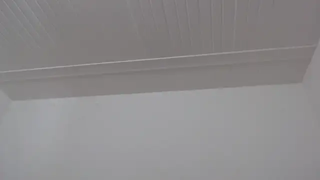 ElizabethMiler webcam