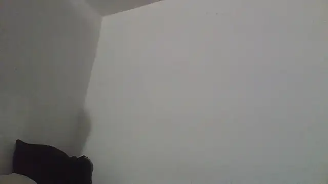 Moonandzukko webcam