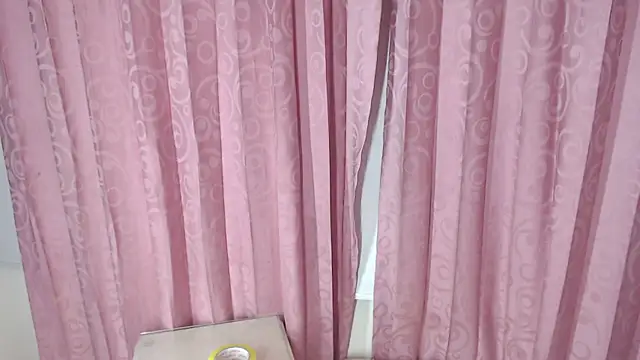 Mini_Rouse webcam