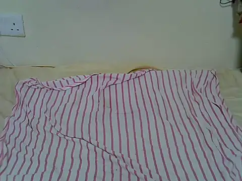 Twerliee webcam