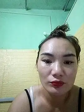 Voiva11 webcam