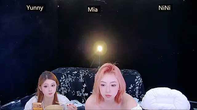 MiNi-U webcam