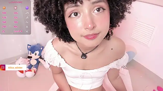 Alice_winter_ webcam