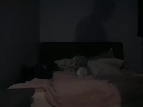 BraveCouple webcam