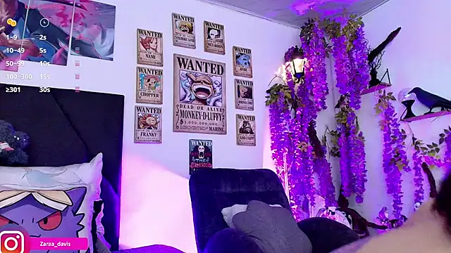 Zaradavis webcam