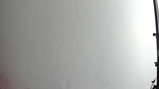 dakotadolly webcam