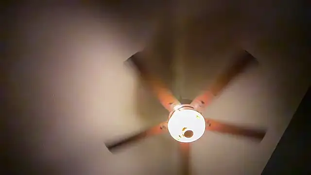 icebergslim281 webcam