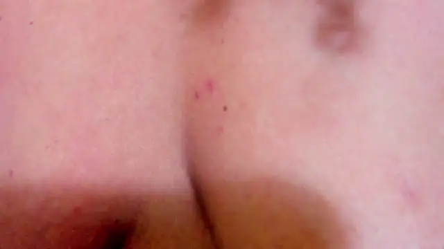 Evaalux webcam