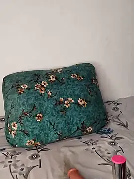 juhicpl143 webcam