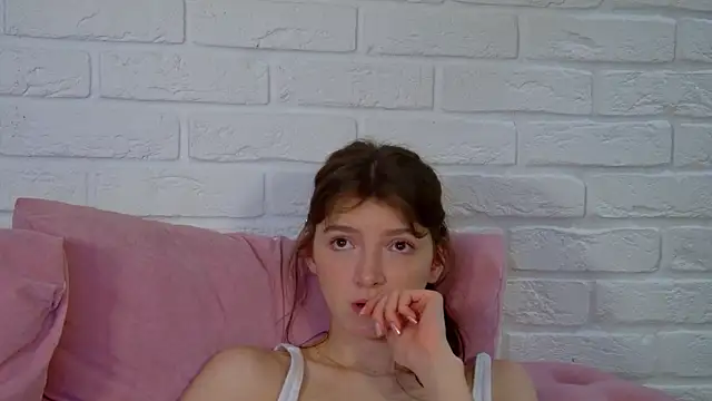 SophiaProve webcam