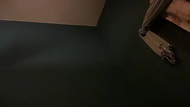 icebergslim281 webcam