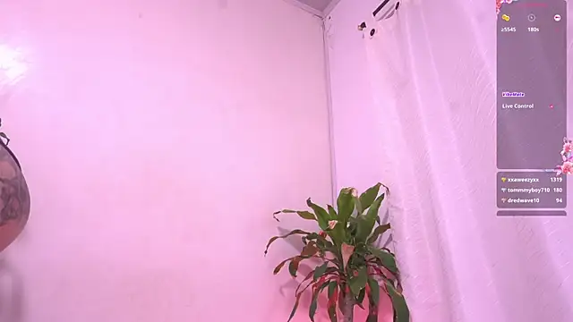 Sisirojas webcam