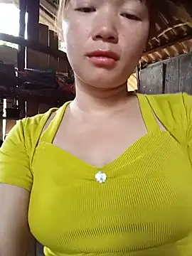 Vivy-1 webcam