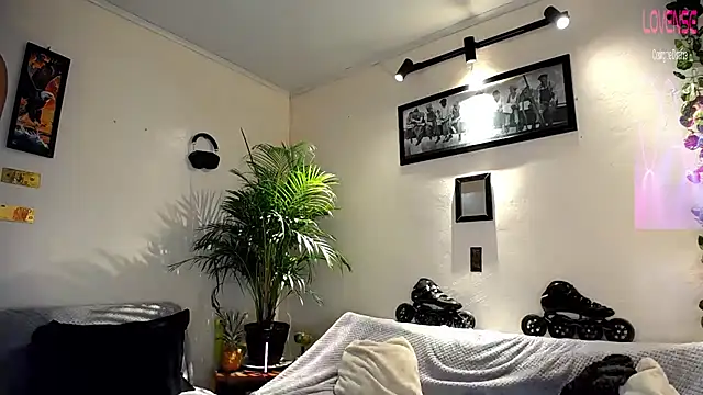 tiancam webcam