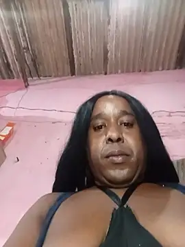 Hellentrans24 webcam