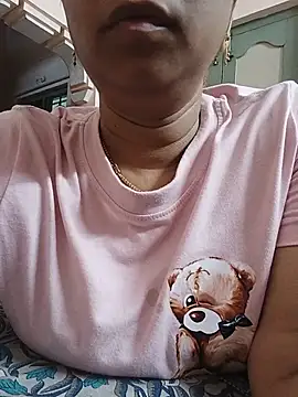 Hansikatelugu webcam