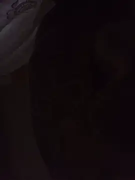 Sexxoophone webcam