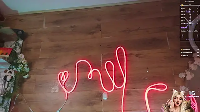 Miila_snow webcam