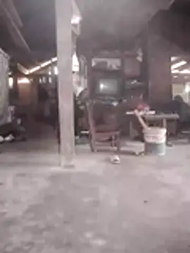 phlin1 webcam