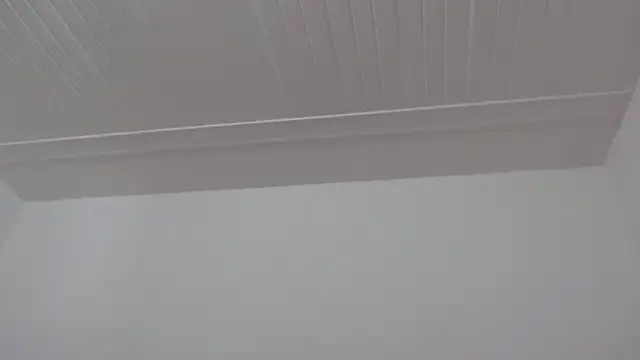 ElizabethMiler webcam