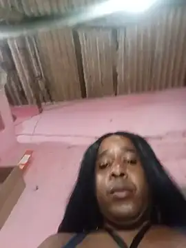 Hellentrans24 webcam
