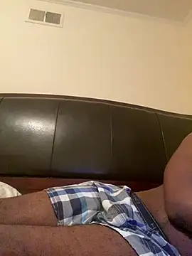 ThickDic28 webcam