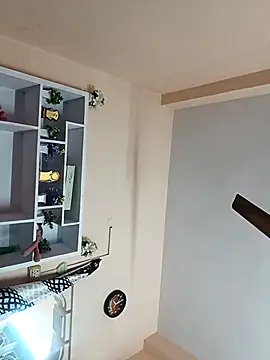 Hansikatelugu webcam