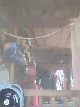 HGiasexy69 webcam