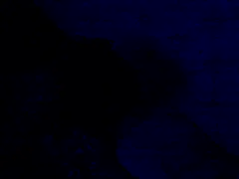 Armorpie webcam