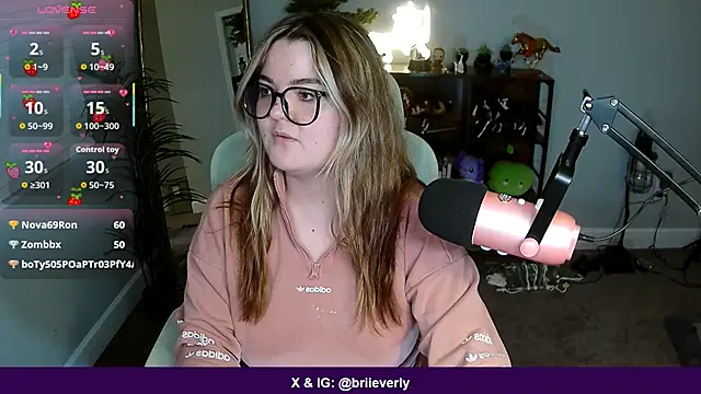 Briieverly webcam