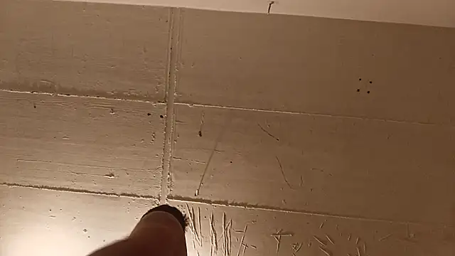 Timbojan28 webcam