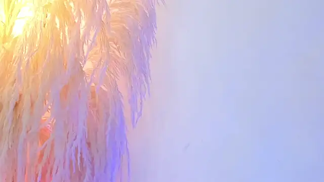 Nikolay_dimitrov webcam