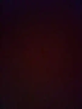 solofe19 webcam