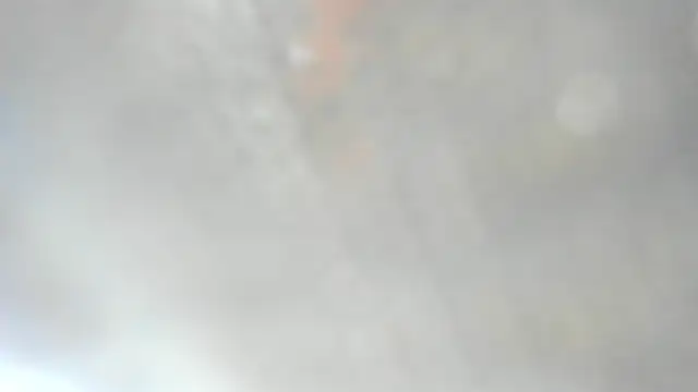 erika_lyrics webcam