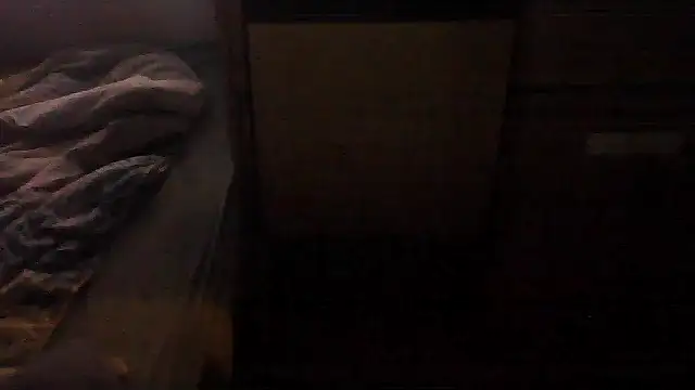 AdlibSaute webcam