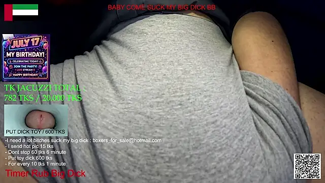 bfs266 webcam