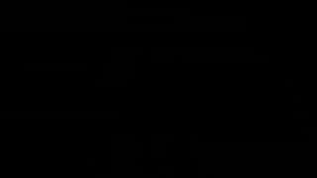 NikaLicka