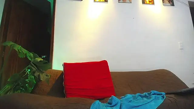 shellsy_hans webcam