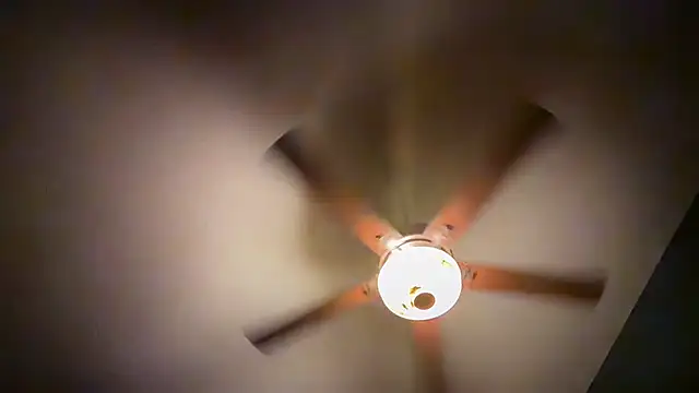 icebergslim281 webcam